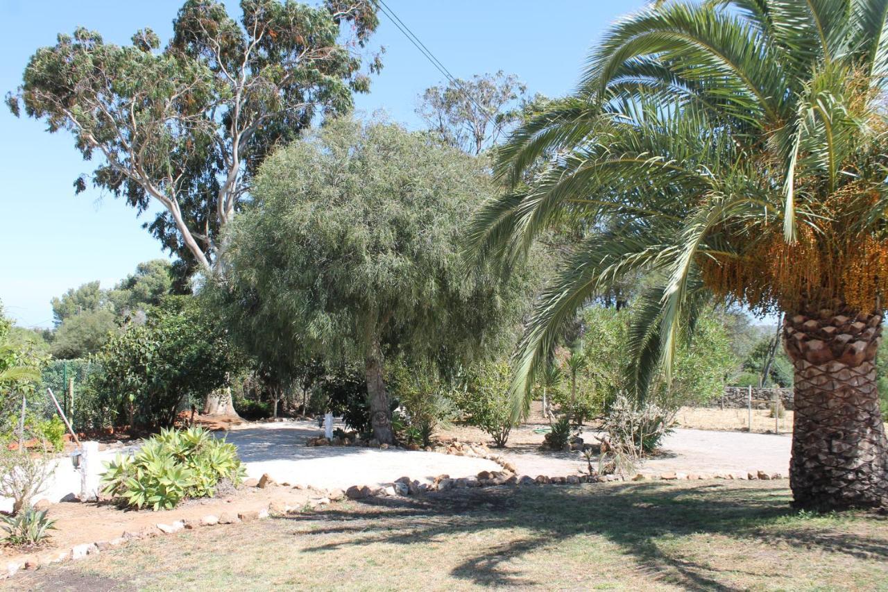 Alegria Lagos