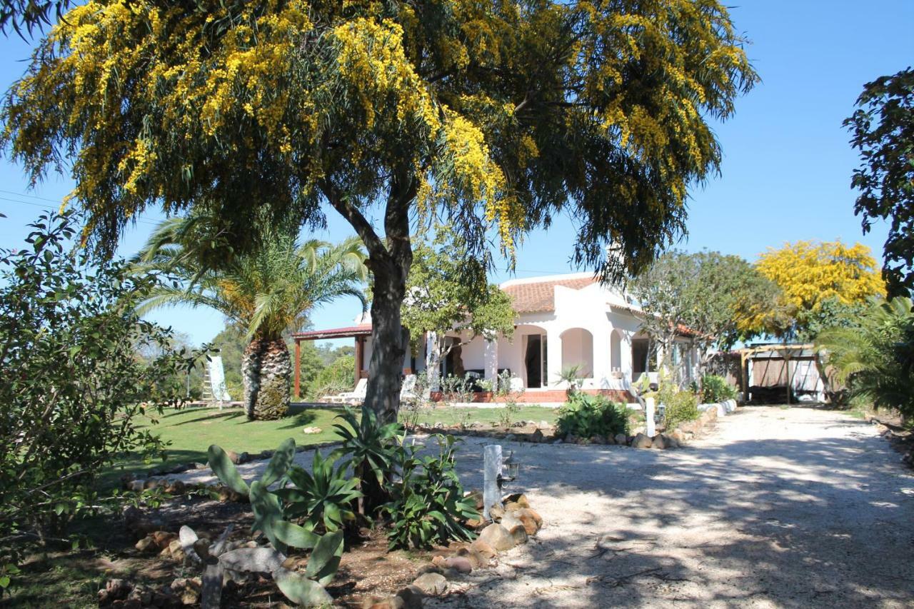 Alegria