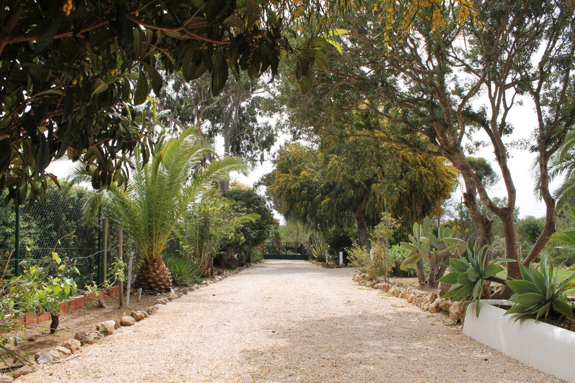 Alegria Pousada *